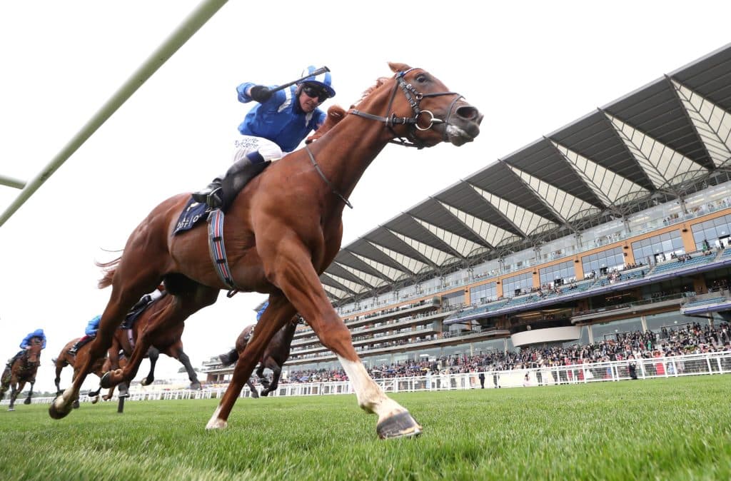 Saturday's Horse Racing Tips: Ascot, York July 23rd