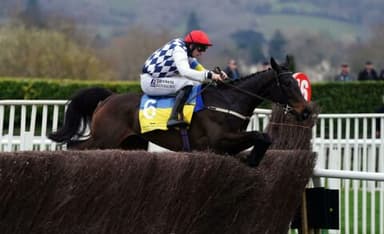 How to Bet on Cheltenham 2023: 10 Pointers for Cheltenham Punters