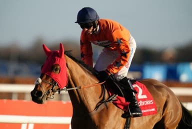 10 horses That Lit It Up Over Christmas 2022