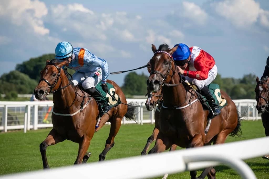 Sunday's Horse Racing Tips: Leicester, Ripon, August 11th
