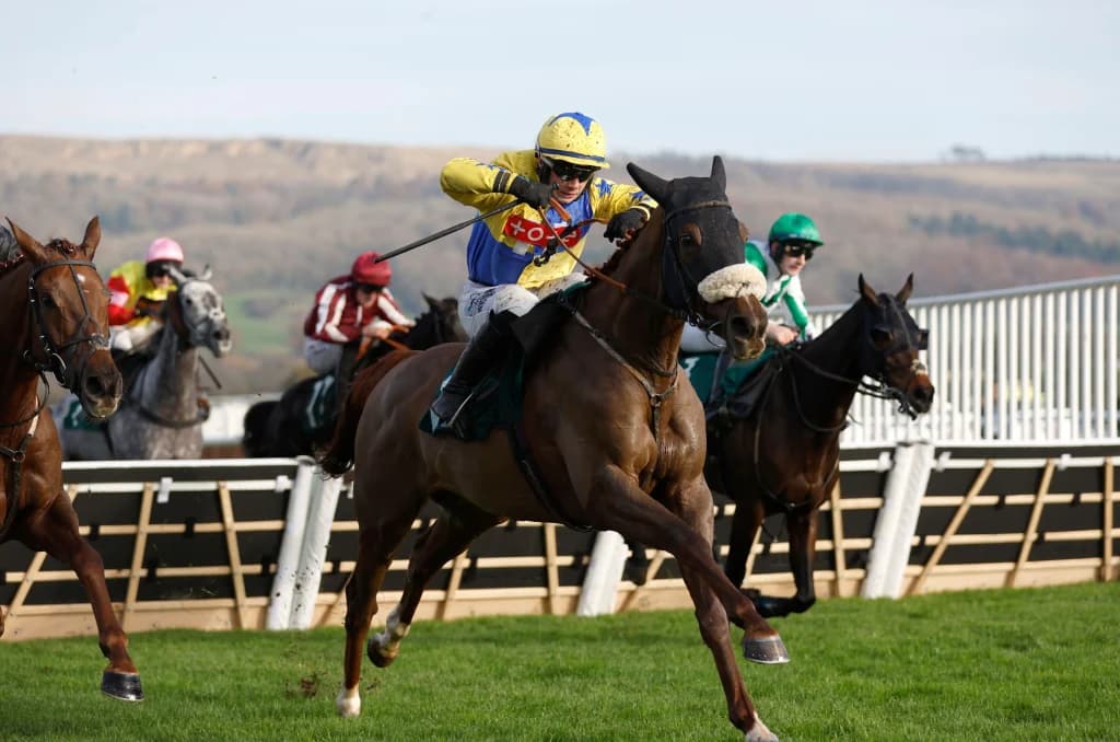 Sunday’s Horse Racing Tips: Cheltenham, November 17th