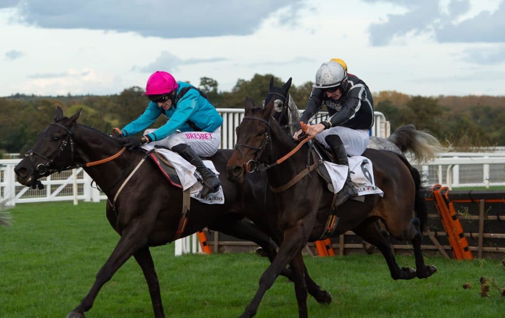 Today's Horse Racing Tips: Friday December 17th