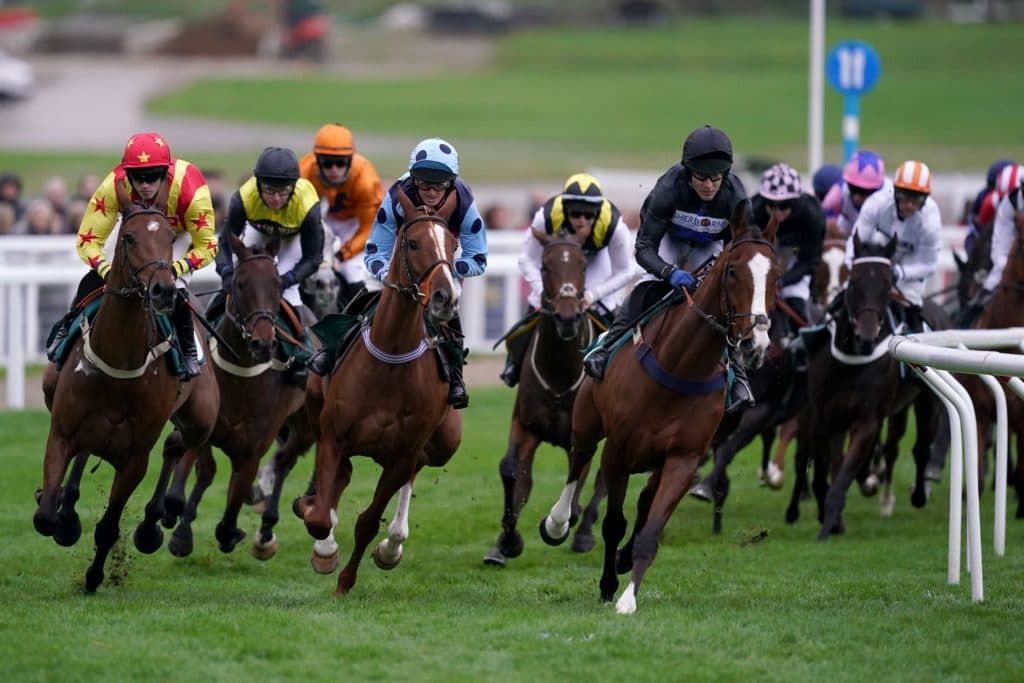 Saturday's Horse Racing Tips: December 11th