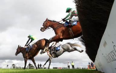 Today's Horse Racing Tips: Tuesday January 11th