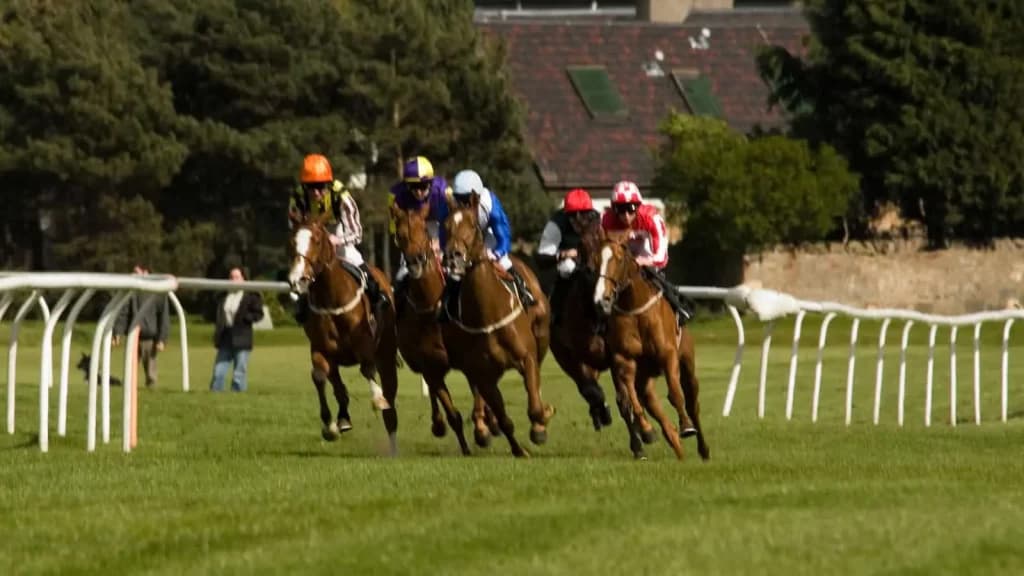 Wednesday's Horse Racing Tips: Musselburgh, July 3rd