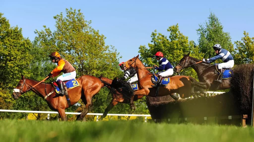 Wednesday’s Horse Racing Tips: Fakenham, November 1st