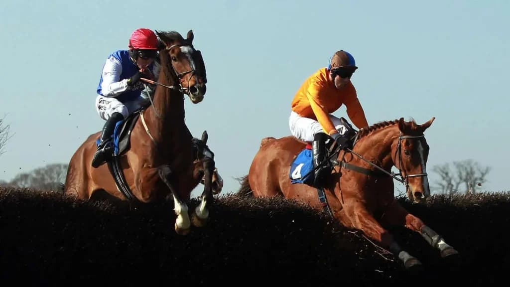Wednesday's Horse Racing Tips: Ludlow, December 4th