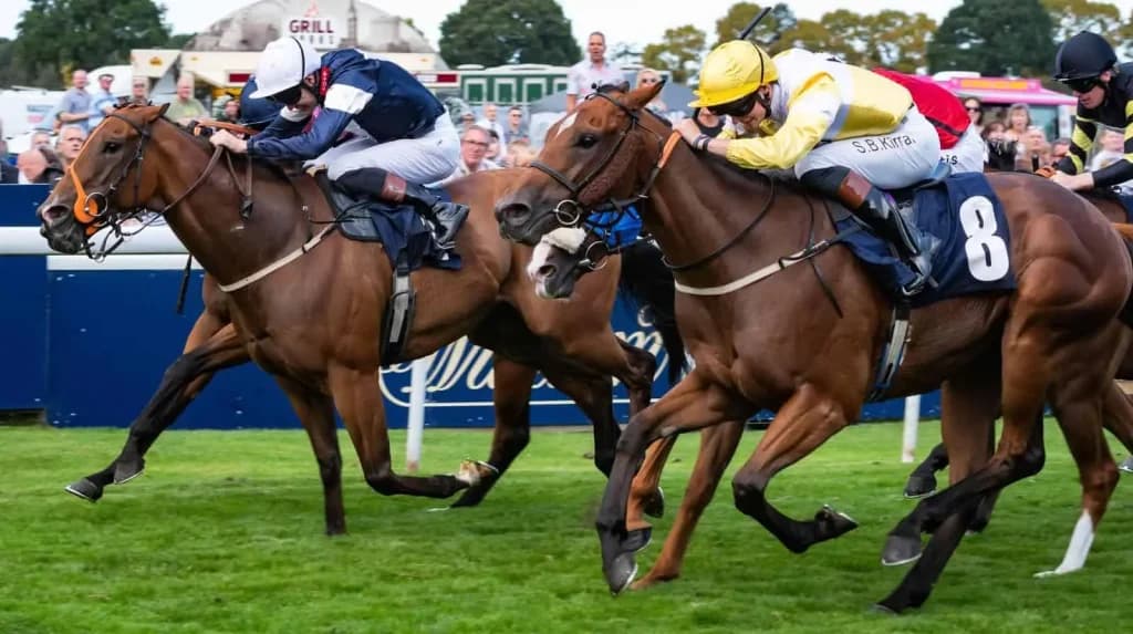 Tuesday's Horse Racing Tips: Beverley, September 24th
