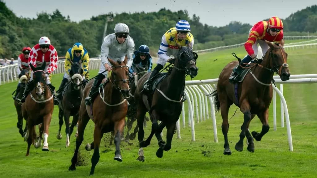 Wednesday's Horse Racing Tips: Catterick, July 24th