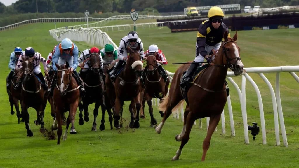 Monday's Horse Racing Tips: Catterick, August 19th
