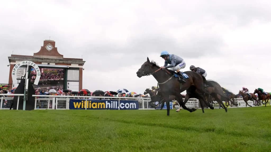 Saturday’s Horse Racing Tips: Newbury, Newmarket,  Ripon, August 17th