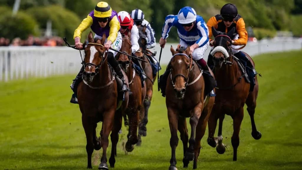 Saturday’s Horse Racing Tips: York, Goodwood, August 24th