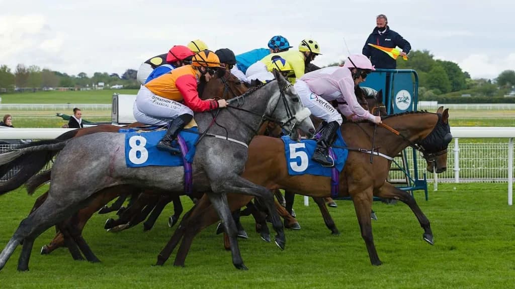 Friday's Horse Racing Tips: York, August 23rd