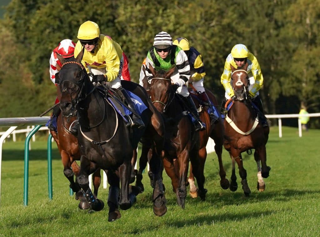 Today's Horse Racing Tips: Monday December 20th