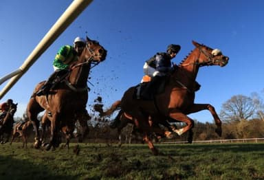 Today's Horse Racing Tips: Tuesday February 8th