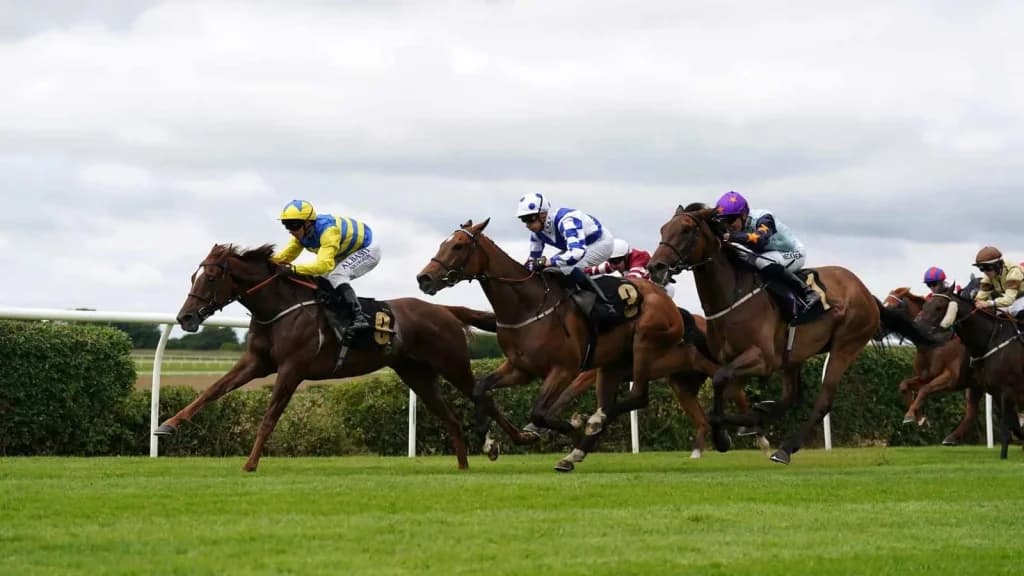 Wednesday's Horse Racing Tips: Carlisle, September 11th