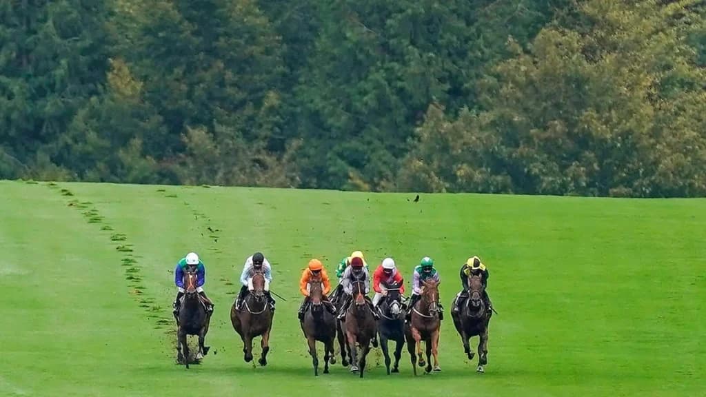 Friday's Horse Racing Tips: Goodwood, May 24th