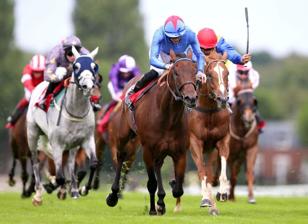 Saturday's Horse Racing Tips: February 5th
