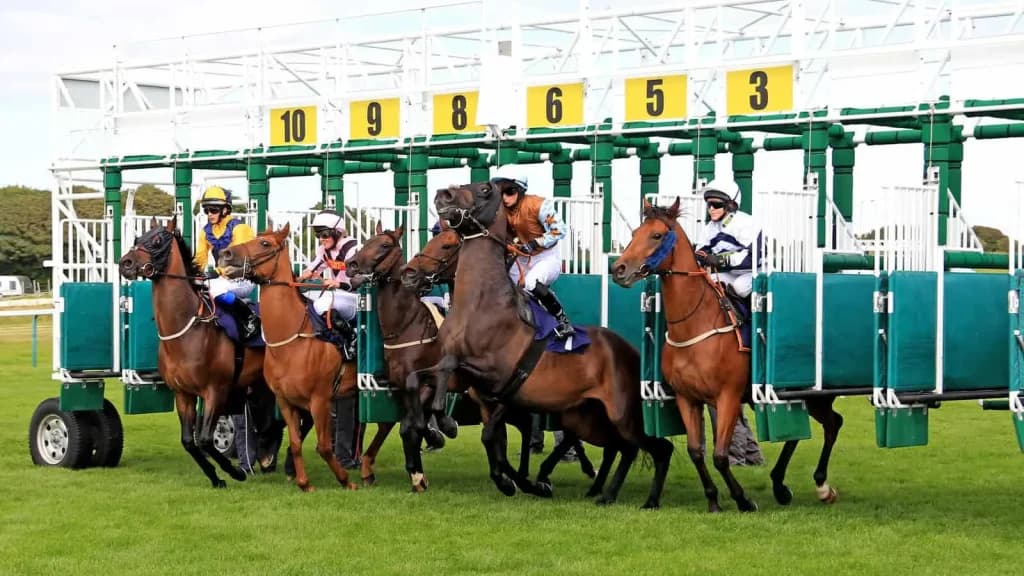 Tuesday's Horse Racing Tips: Brighton, July 2nd