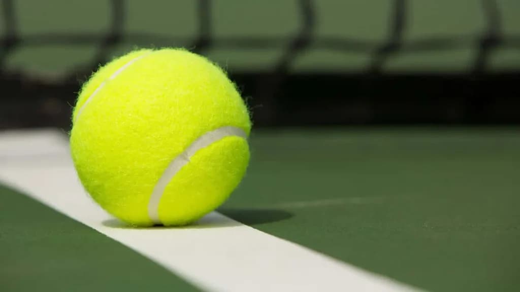 Alex Michelsen vs Bu Yunchaokete Prediction, Picks, Odds, H2H, 11/7/24