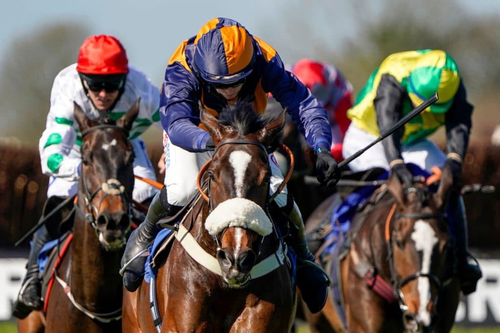 Today's Horse Racing Tips: Wednesday January 26th